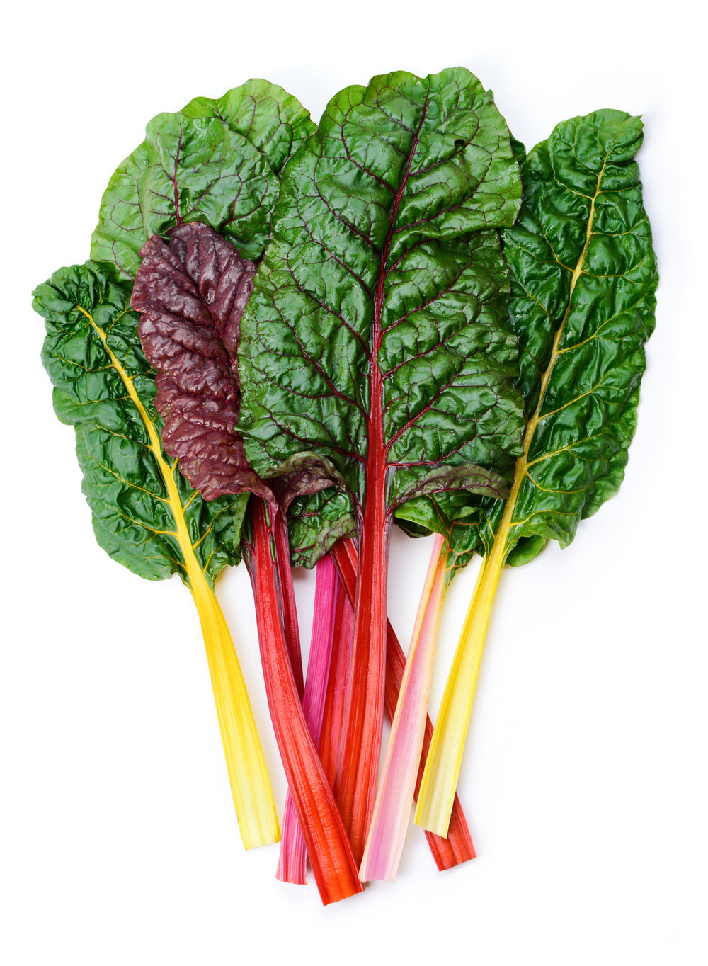 500g Rainbow Chard | Order Online | Fisher of Newbury