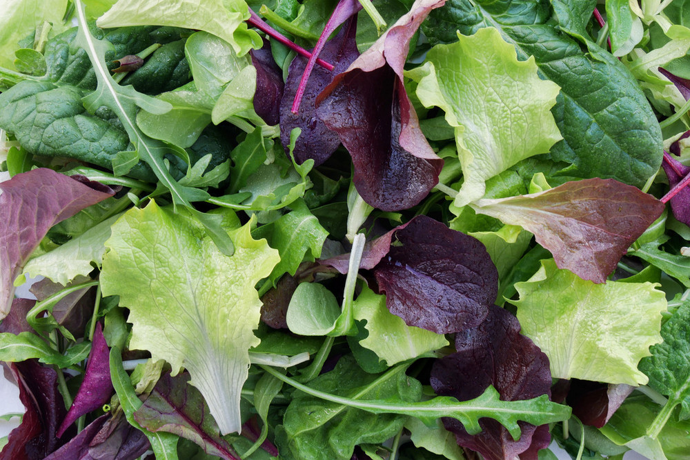 Baby Leaf Salad 500g | Order Online | Fisher of Newbury