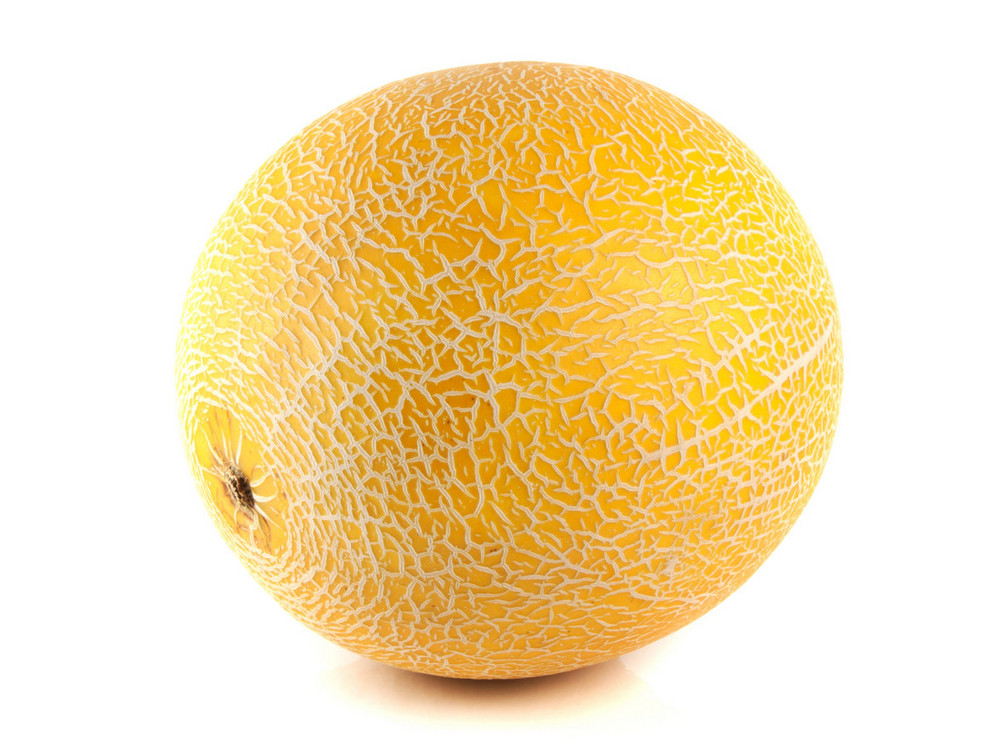 Galia Melon | Order Online | Fisher of Newbury