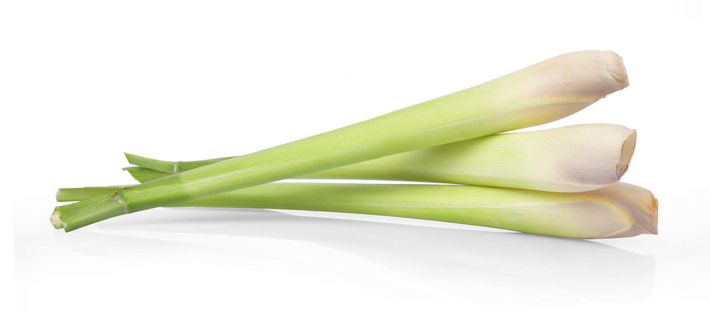 Lemon Grass (bunch) | Order Online | Fisher of Newbury