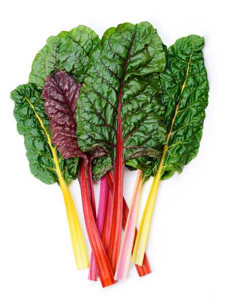 Rainbow Chard 500g